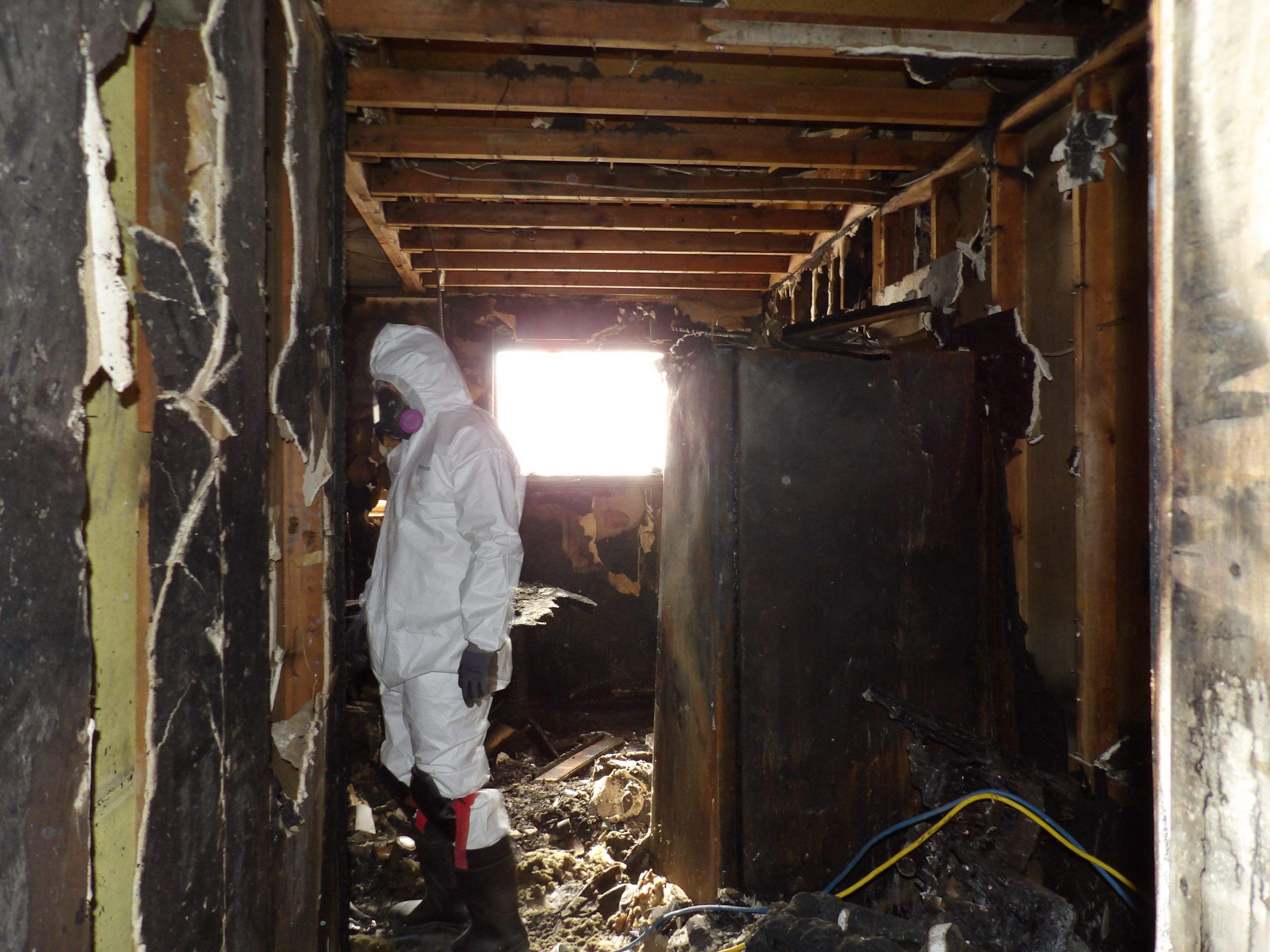 asbestos abatement
